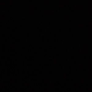 Meet your Posher, Debrah